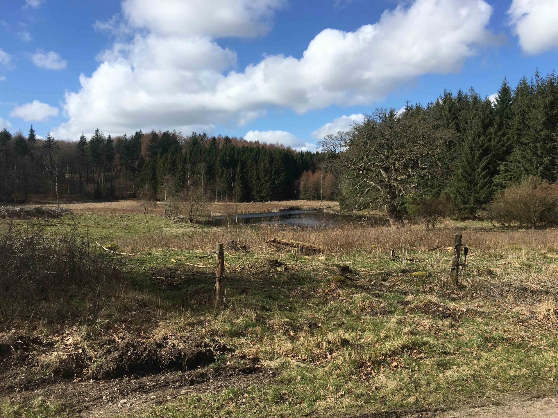 Billede 24-03-2019 13.03.17