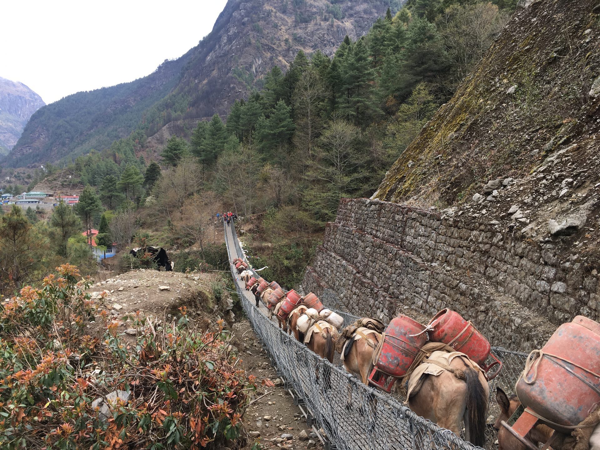 Billede 14-04-2019 06.25.30