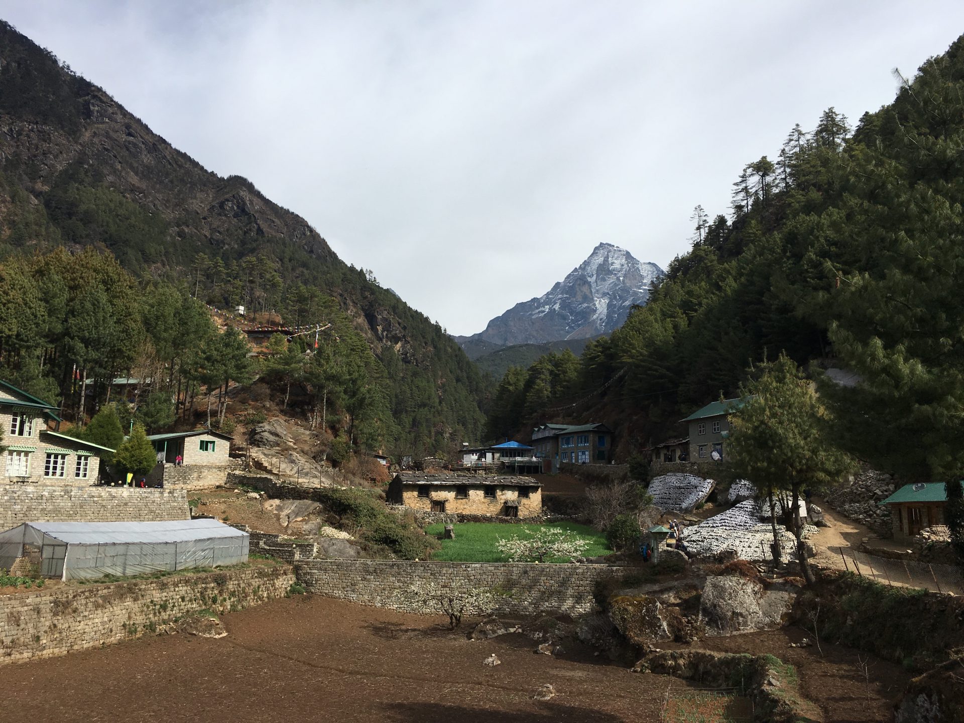 Billede 15-04-2019 04.52.17