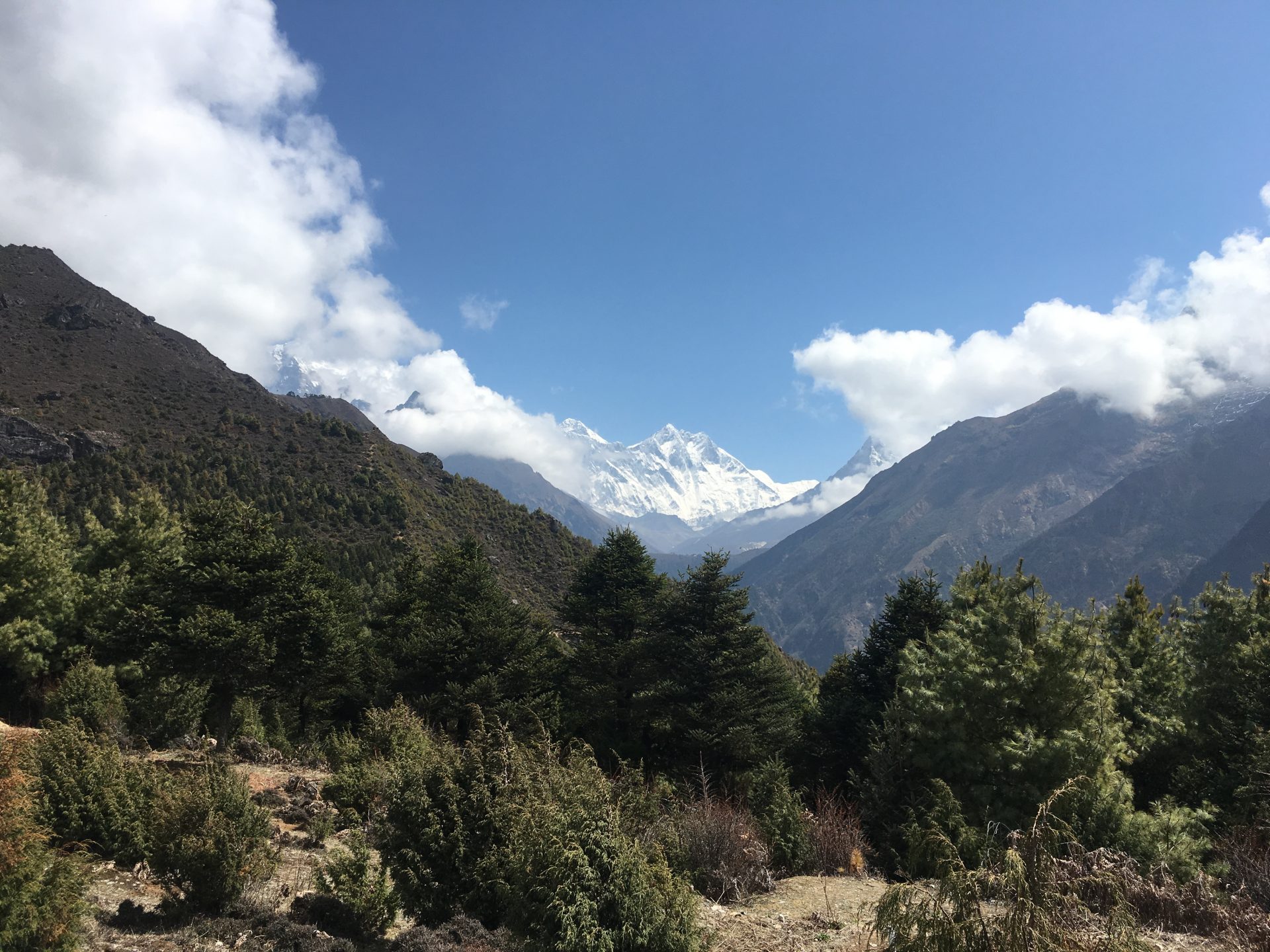 Billede 16-04-2019 06.12.26