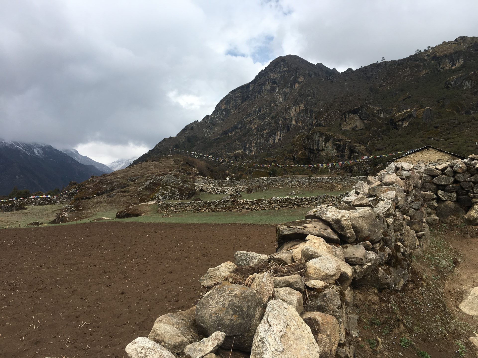 Billede 17-04-2019 05.44.14