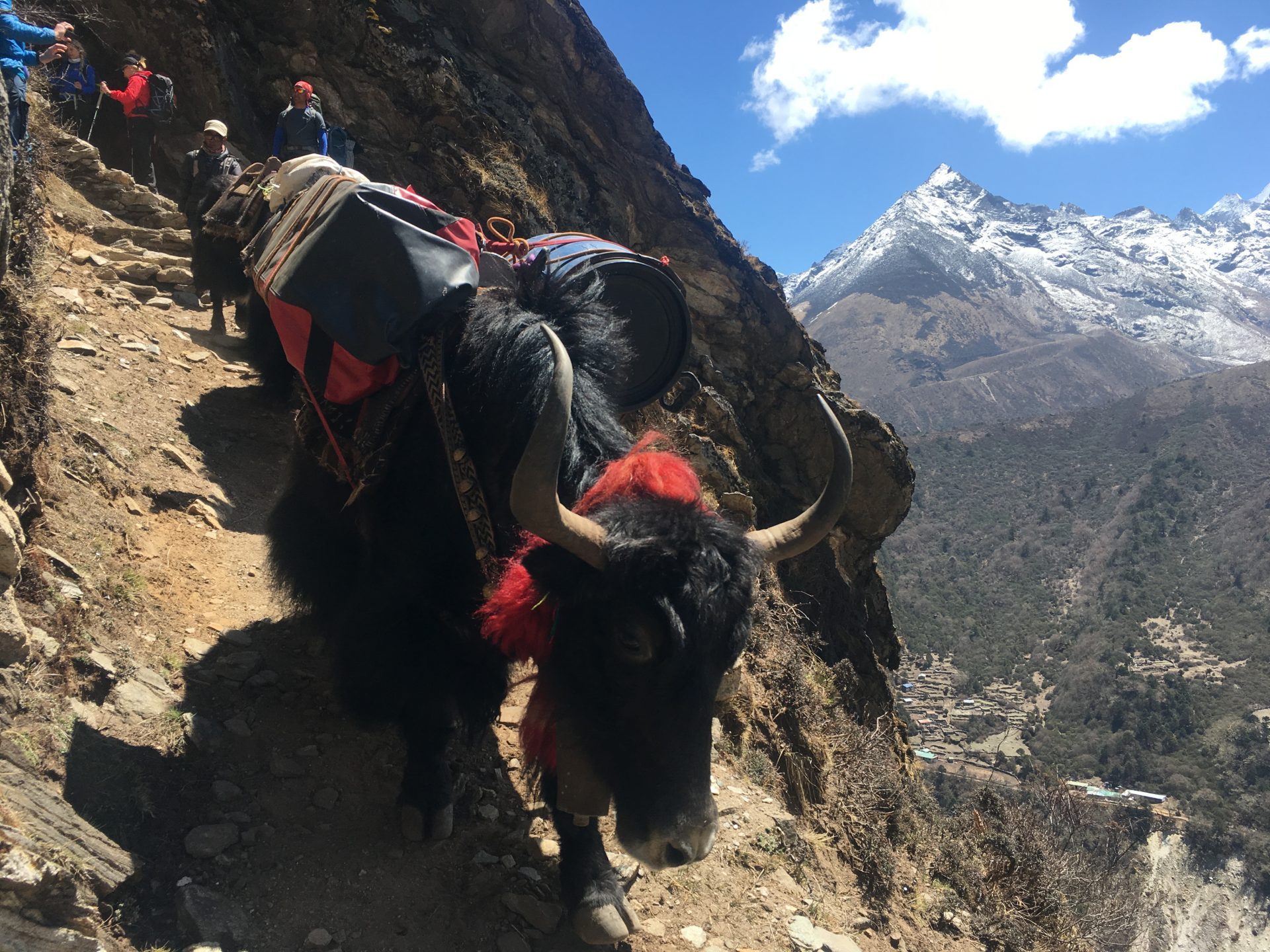 Billede 19-04-2019 07.13.04