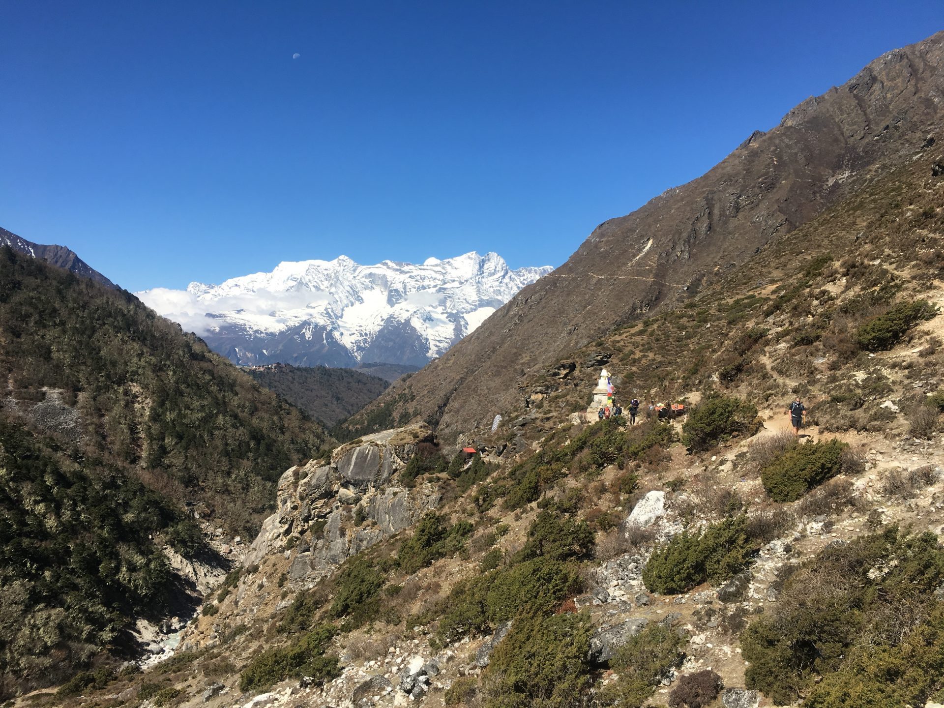 Billede 26-04-2019 05.16.09